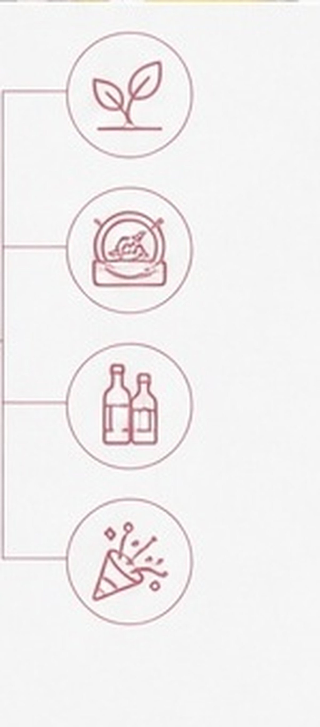 5 unidades de rolhas de silico - Wine Beer Hat avaliação e preço